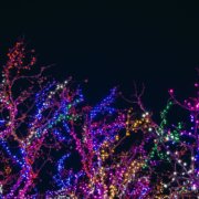 nextgenleadership-string-lights